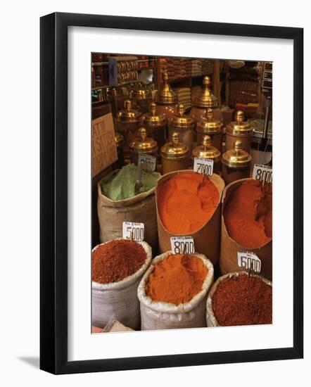 Spices in the Market, Istanbul, Turkey, Europe-Woolfitt Adam-Framed Photographic Print