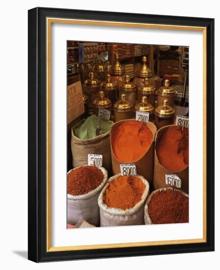 Spices in the Market, Istanbul, Turkey, Europe-Woolfitt Adam-Framed Photographic Print