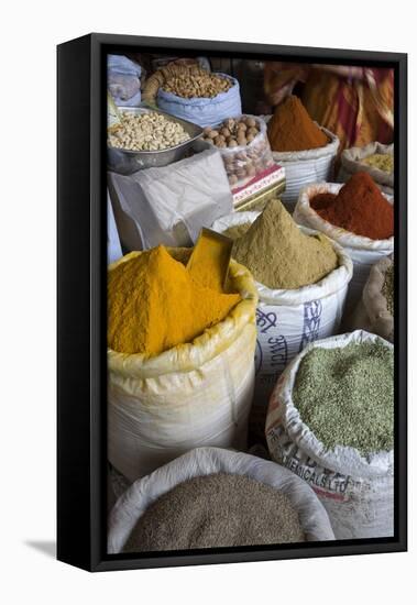 Spices, Jaipur, Rajasthan, India, Asia-Doug Pearson-Framed Premier Image Canvas