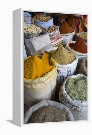 Spices, Jaipur, Rajasthan, India, Asia-Doug Pearson-Framed Premier Image Canvas