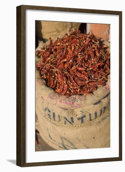 Spices, Jaipur, Rajasthan, India, Asia-Doug Pearson-Framed Photographic Print