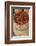 Spices, Jaipur, Rajasthan, India, Asia-Doug Pearson-Framed Photographic Print