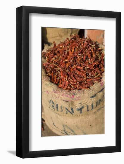 Spices, Jaipur, Rajasthan, India, Asia-Doug Pearson-Framed Photographic Print