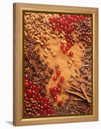 Spices, Nuts, Almonds and Cherries Forming a Surface-Luzia Ellert-Framed Premier Image Canvas