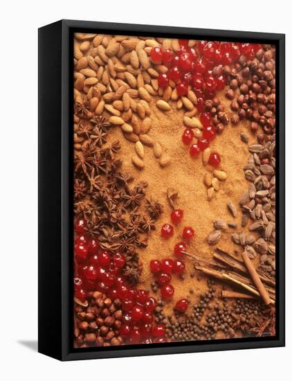 Spices, Nuts, Almonds and Cherries Forming a Surface-Luzia Ellert-Framed Premier Image Canvas