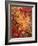 Spices, Nuts, Almonds and Cherries Forming a Surface-Luzia Ellert-Framed Photographic Print