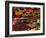 Spices on Sale in Market, Tunisia, North Africa, Africa-Lightfoot Jeremy-Framed Photographic Print