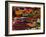 Spices on Sale in Market, Tunisia, North Africa, Africa-Lightfoot Jeremy-Framed Photographic Print