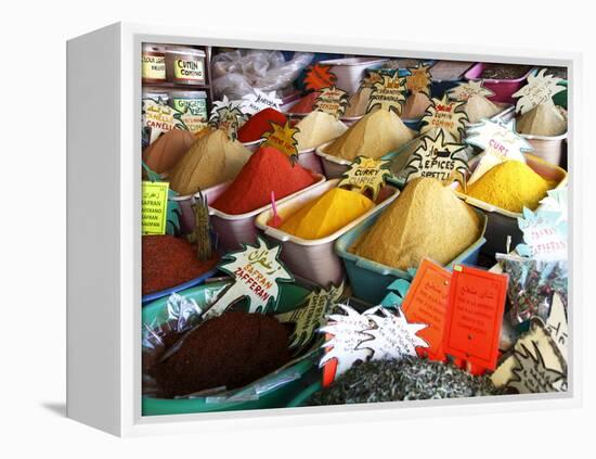Spices on Stall in Market of Souk Jara, Gabes, Tunisia, North Africa, Africa-Dallas & John Heaton-Framed Premier Image Canvas
