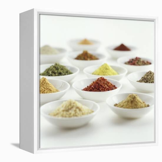 Spices, Spice Mixtures and Marinades in Small Bowls-Jana Liebenstein-Framed Stretched Canvas