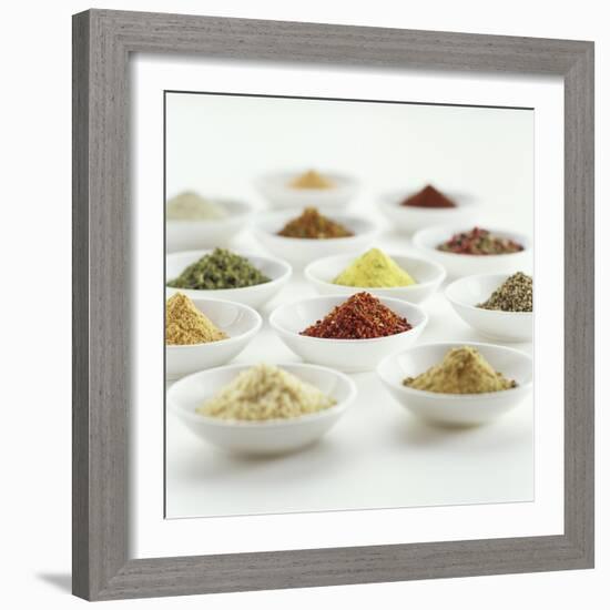 Spices, Spice Mixtures and Marinades in Small Bowls-Jana Liebenstein-Framed Photographic Print