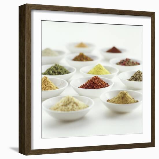 Spices, Spice Mixtures and Marinades in Small Bowls-Jana Liebenstein-Framed Photographic Print