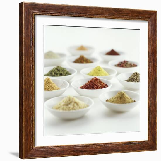 Spices, Spice Mixtures and Marinades in Small Bowls-Jana Liebenstein-Framed Photographic Print