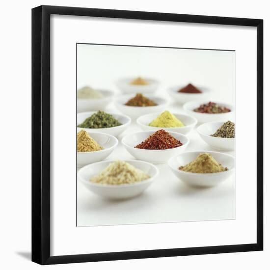 Spices, Spice Mixtures and Marinades in Small Bowls-Jana Liebenstein-Framed Photographic Print