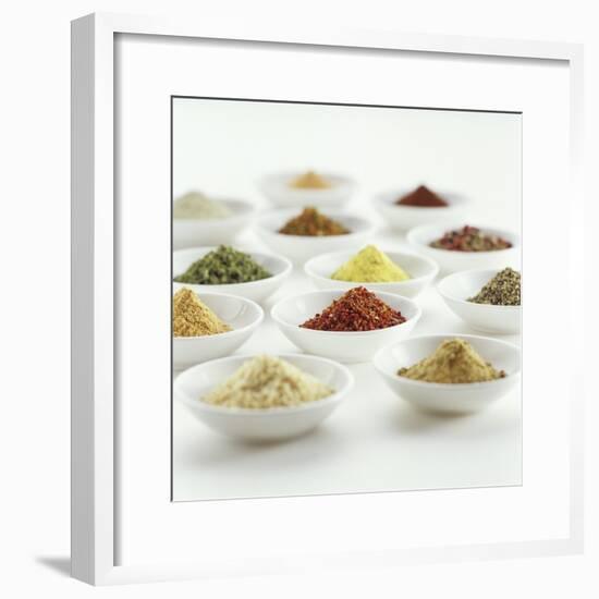 Spices, Spice Mixtures and Marinades in Small Bowls-Jana Liebenstein-Framed Photographic Print