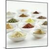 Spices, Spice Mixtures and Marinades in Small Bowls-Jana Liebenstein-Mounted Photographic Print