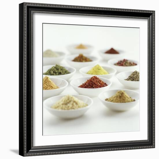 Spices, Spice Mixtures and Marinades in Small Bowls-Jana Liebenstein-Framed Photographic Print