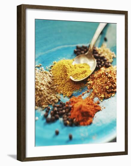 Spices: Turmeric, Paprika, Allspice, Coriander, Chili-null-Framed Photographic Print