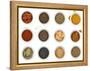 Spices-Little_Desire-Framed Stretched Canvas