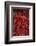 Spicy Hot Red Cayenne Chili Peppers-William Perry-Framed Photographic Print