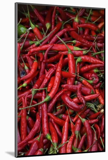 Spicy Hot Red Cayenne Chili Peppers-William Perry-Mounted Photographic Print