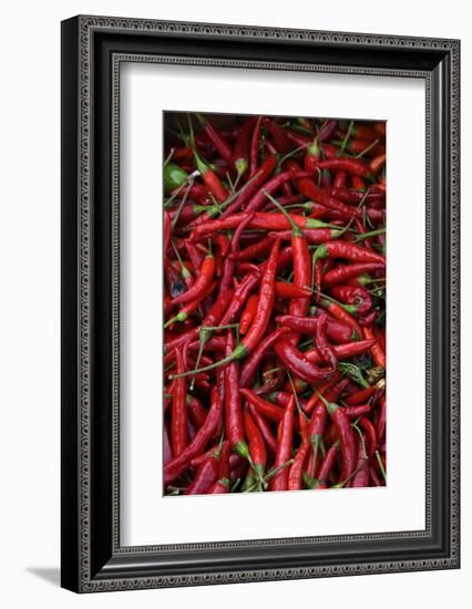 Spicy Hot Red Cayenne Chili Peppers-William Perry-Framed Photographic Print