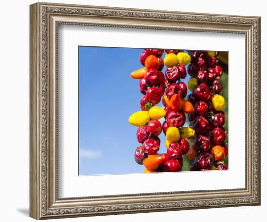Spicy Red Chili in the Town of Kalocsa, Hungary-Martin Zwick-Framed Photographic Print
