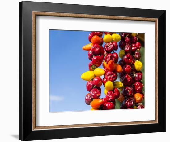 Spicy Red Chili in the Town of Kalocsa, Hungary-Martin Zwick-Framed Photographic Print