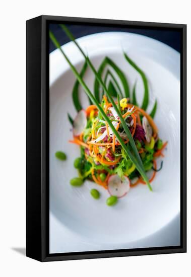 Spicy Thai Salad, Thailand, Southeast Asia, Asia-Alex Robinson-Framed Premier Image Canvas