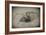 Spider 2-Pixie Pics-Framed Photographic Print