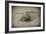 Spider 2-Pixie Pics-Framed Photographic Print