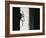 Spider 3-Pixie Pics-Framed Photographic Print