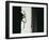 Spider 3-Pixie Pics-Framed Photographic Print