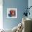 Spider Crab-John Wallington-Framed Giclee Print displayed on a wall