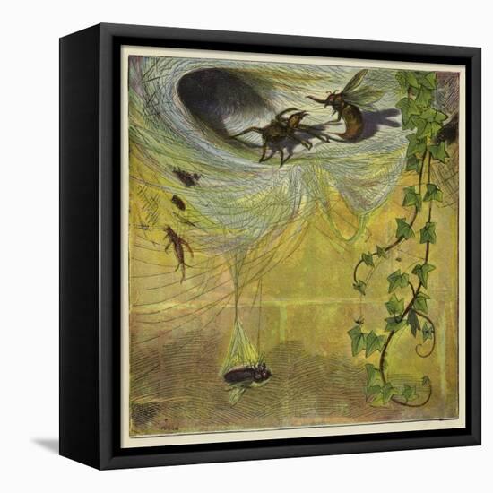 Spider, Fly and Bee-Ernest Henry Griset-Framed Premier Image Canvas