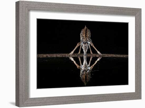 Spider Giraffe-Alessandro Catta-Framed Giclee Print