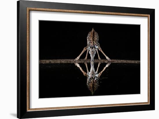 Spider Giraffe-Alessandro Catta-Framed Giclee Print