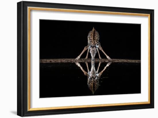 Spider Giraffe-Alessandro Catta-Framed Giclee Print