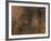 Spider in Web, Washington, USA-Terry Eggers-Framed Photographic Print