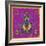 Spider, Jumping Spider-Belen Mena-Framed Giclee Print