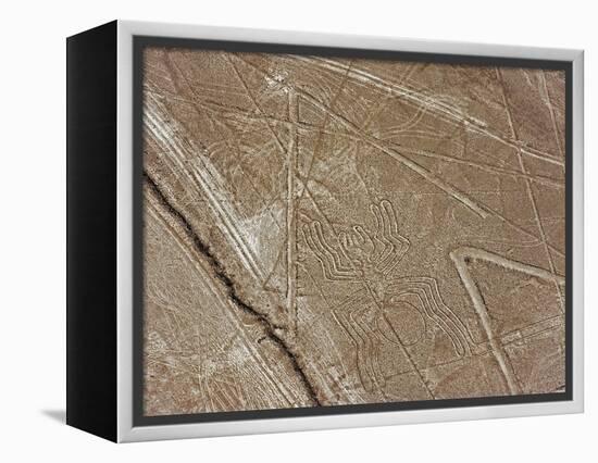 Spider, Lines and Geoglyphs of Nasca, UNESCO World Heritage Site, Peru, South America-Christian Kober-Framed Premier Image Canvas