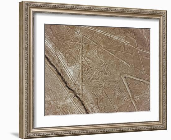 Spider, Lines and Geoglyphs of Nasca, UNESCO World Heritage Site, Peru, South America-Christian Kober-Framed Photographic Print