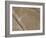 Spider, Lines and Geoglyphs of Nasca, UNESCO World Heritage Site, Peru, South America-Christian Kober-Framed Photographic Print