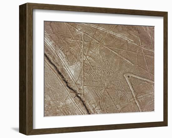 Spider, Lines and Geoglyphs of Nasca, UNESCO World Heritage Site, Peru, South America-Christian Kober-Framed Photographic Print