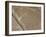 Spider, Lines and Geoglyphs of Nasca, UNESCO World Heritage Site, Peru, South America-Christian Kober-Framed Photographic Print