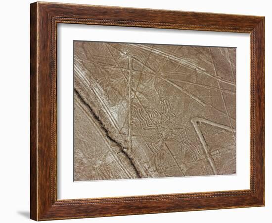 Spider, Lines and Geoglyphs of Nasca, UNESCO World Heritage Site, Peru, South America-Christian Kober-Framed Photographic Print