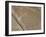 Spider, Lines and Geoglyphs of Nasca, UNESCO World Heritage Site, Peru, South America-Christian Kober-Framed Photographic Print