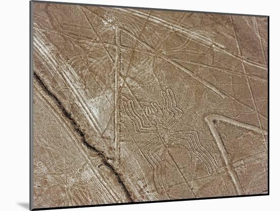 Spider, Lines and Geoglyphs of Nasca, UNESCO World Heritage Site, Peru, South America-Christian Kober-Mounted Photographic Print