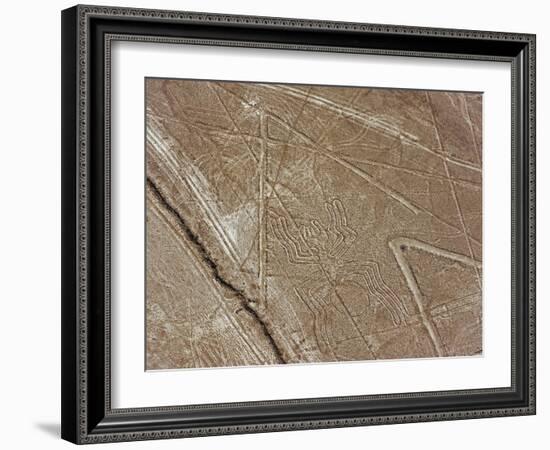 Spider, Lines and Geoglyphs of Nasca, UNESCO World Heritage Site, Peru, South America-Christian Kober-Framed Photographic Print