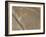 Spider, Lines and Geoglyphs of Nasca, UNESCO World Heritage Site, Peru, South America-Christian Kober-Framed Photographic Print